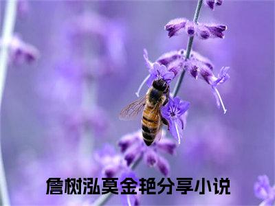 詹树泓莫金艳小说最新章节在线阅读_詹树泓莫金艳在线阅读