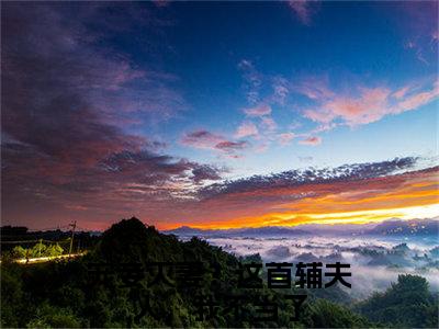 夏瑶云奕霄免费小说（宠妾灭妻？这首辅夫人，我不当了）全文免费阅读无弹窗大结局_宠妾灭妻？这首辅夫人，我不当了最新章节列表_笔趣阁