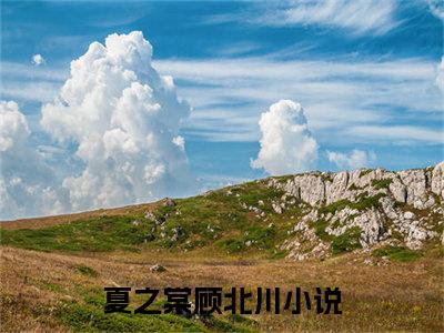 夏之棠顾北川笔趣阁免费小说_夏之棠顾北川笔趣阁全文阅读