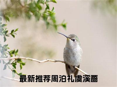 周泊礼虞溪蔷(周泊礼虞溪蔷）小说全文免费阅读无弹窗大结局_周泊礼虞溪蔷全文免费阅读