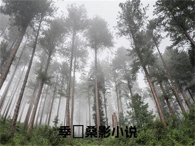 季峘桑影最新章节在线阅读-全文小说季峘桑影