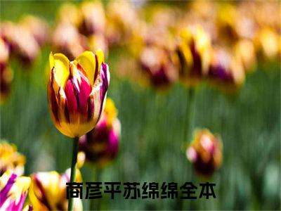 商彦平苏绵绵主角是商彦平苏绵绵全文免费阅读无弹窗-商彦平苏绵绵最新章节列表-笔趣阁