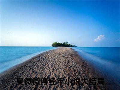 主角是夏微微傅经年的小说叫什么名字（夏微微傅经年）-完结版小说（夏微微傅经年）