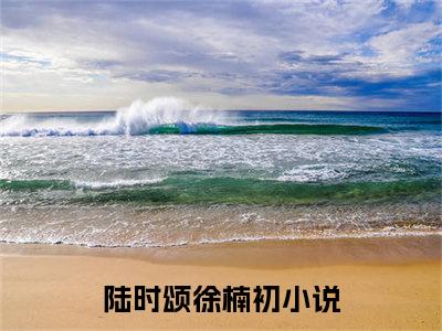 陆时颂徐楠初（陆时颂徐楠初免费阅读无弹窗）陆时颂徐楠初最新章节列表_笔趣阁