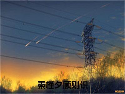 秦槿夕顾则识小说（秦槿夕顾则识）全文免费阅读无弹窗_秦槿夕顾则识小说最新章节免费阅读_笔趣阁