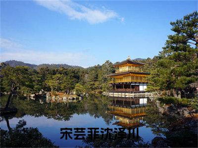 【新书】《宋芸菲沈泽川》宋芸菲沈泽川全文全章节免费阅读