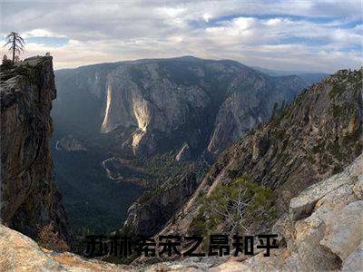 苏林希宋之昂最后结局 苏林希宋之昂完结版免费阅读