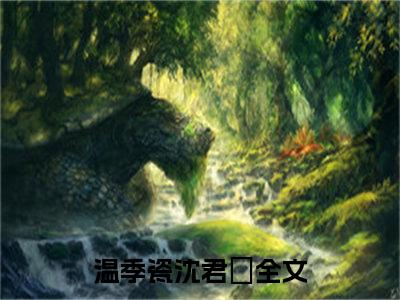 温季瓷沈君璟（曾经那么相爱，如今却形同陌路）全文无弹窗阅读-精彩小说曾经那么相爱，如今却形同陌路（温季瓷沈君璟）