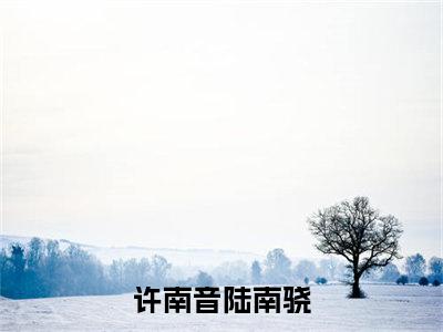 许南音陆南骁的小说主角（许南音陆南骁）免费阅读_许南音陆南骁热搜小说完结版阅读