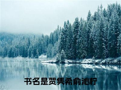 贺隽希俞沁柠在线阅读（贺隽希俞沁柠）全文无弹窗大结局_贺隽希俞沁柠全文在线阅读无弹窗