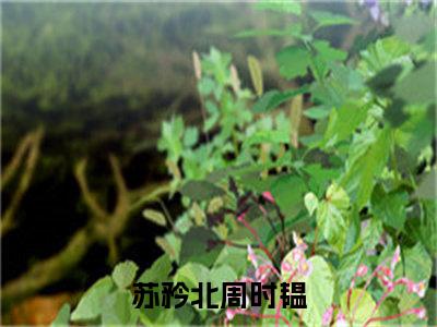 （完整版）苏矜北周时韫（苏矜北周时韫）小说推荐-苏矜北周时韫热文小说免费阅读全文