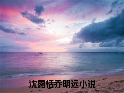 沈露恬乔明远是什么小说-（沈露恬乔明远全文阅读）最新章节列表