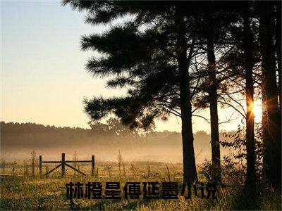 林橙星傅延墨（林橙星傅延墨）全文免费阅读无弹窗_林橙星傅延墨最新小说_笔趣阁（林橙星傅延墨）