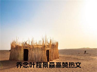 乔念叶程景森人气小说全本免费阅读