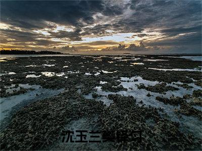 沈玉兰樊铎匀好书沈玉兰樊铎匀免费赏析-《沈玉兰樊铎匀》小说分享全集