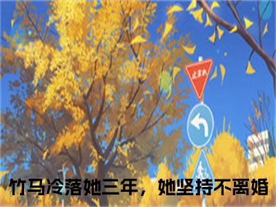 竹马冷落她三年，她坚持不离婚（陆岐唐梨全章节完整版）免费阅读_（陆岐唐梨）竹马冷落她三年，她坚持不离婚全文无删减免费阅读