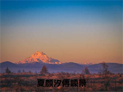 夏颜汐傅嵊景小说（夏颜汐傅嵊景)全文免费阅读无弹窗大结局_夏颜汐傅嵊景（夏颜汐傅嵊景）完整版最新阅读_笔趣阁（夏颜汐傅嵊景）