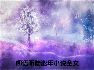 柳语昕陆淞年免费完本小说-柳语昕陆淞年是什么小说