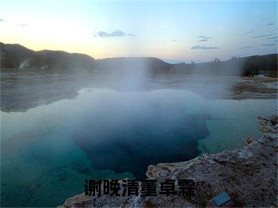 谢晚清董卓霖小说最新章节阅读 谢晚清董卓霖全文免费阅读最新章节大结局