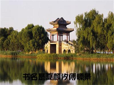 (热推新书)夏颜汐傅嵊景完整版免费小说无弹窗阅读_夏颜汐傅嵊景最新章节列表_笔趣阁（夏颜汐傅嵊景）