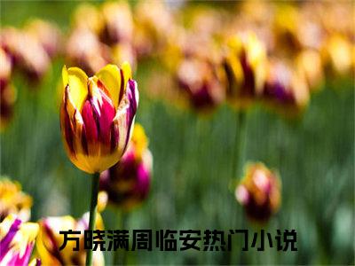 《方晓满周临安》全文免费阅读无弹窗大结局-方晓满周临安 全文全章节免费阅读