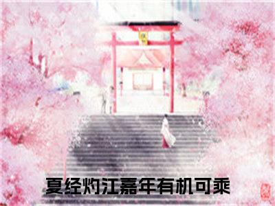 有机可乘（夏经灼江嘉年）全文免费阅读无弹窗-夏经灼江嘉年小说完整版在线阅读