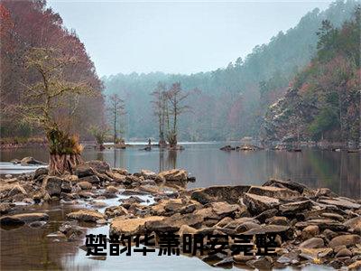 楚韵华萧明安(楚韵华萧明安)全文免费阅读无弹窗大结局_楚韵华萧明安(楚韵华萧明安小说全文大结局)全章节免费在线阅读（楚韵华萧明安）