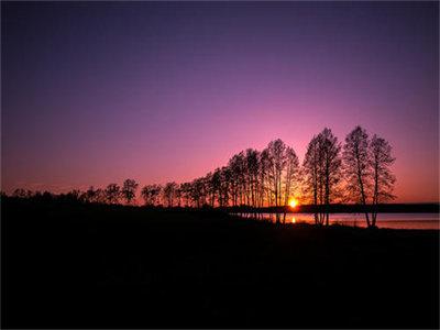 陆时清晏夕阅读无弹窗大结局_（陆时清晏夕阅读无弹窗）最新章节列表_笔趣阁（陆时清晏夕）