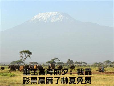 重生高考前夕：我靠彩票赢麻了林夏（重生高考前夕：我靠彩票赢麻了林夏）全文免费阅读无弹窗大结局_重生高考前夕：我靠彩票赢麻了林夏最新章节列表笔趣阁