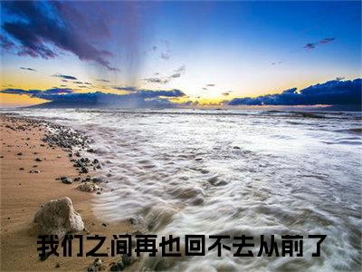 倪永莲左泽宇（我们之间再也回不去从前了）是什么小说-（我们之间再也回不去从前了）无弹窗免费阅读大结局最新章节列表_笔趣阁