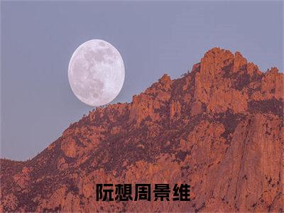 阮想周景维小说（阮想周景维）全文在线阅读无弹窗大结局