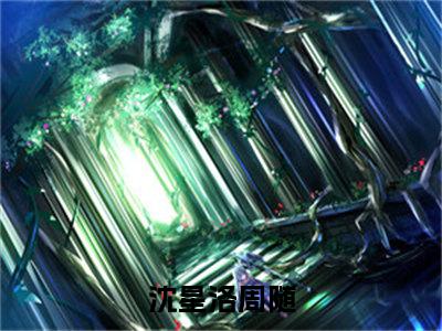 沈星洛周随小说全文免费阅读正版 沈星洛周随免费阅读无弹窗