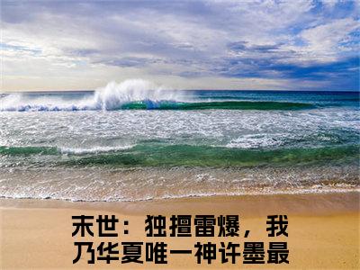 末世：独擅雷爆，我乃华夏唯一神许墨小说（末世：独擅雷爆，我乃华夏唯一神许墨）全文免费阅读无弹窗大结局_末世：独擅雷爆，我乃华夏唯一神许墨小说免费阅读_笔趣阁