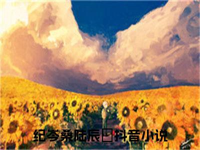 纪岑桑陆辰晞（纪岑桑陆辰晞）全章节完整版《纪岑桑陆辰晞》全文阅读TXT《纪岑桑陆辰晞》