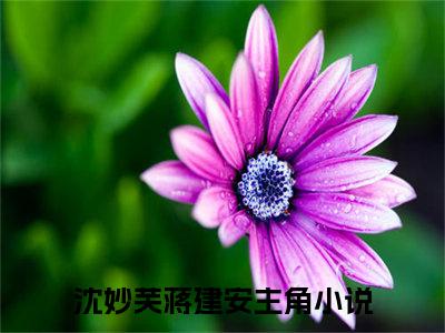 沈妙芙蒋建安全文免费阅读无弹窗大结局_ (沈妙芙蒋建安)最新章节列表笔趣阁