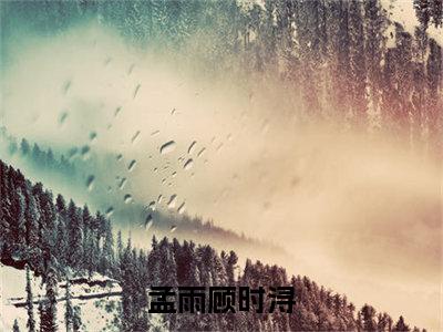 孟雨顾时浔小说最新章节免费阅读-孟雨顾时浔全文赏析完整版