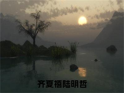 齐夏禧陆明哲（齐夏禧陆明哲）全文免费阅读大结局-（齐夏禧陆明哲）最新章节阅读