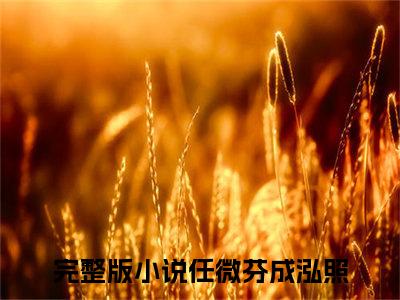 任微芬成泓照全文免费阅读_（任微芬成泓照免费阅读无弹窗）任微芬成泓照最新章节列表