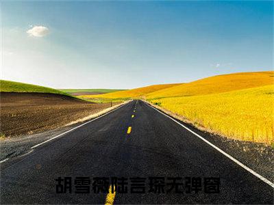 胡雪薇陆言琛（胡雪薇陆言琛全文免费）小说全文免费阅读无弹窗大结局_(胡雪薇陆言琛免费阅读）胡雪薇陆言琛最新章节列表_笔趣阁（胡雪薇陆言琛）