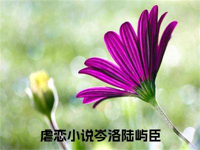 岑洛陆屿臣在哪免费看 岑洛陆屿臣结局是什么（岑洛陆屿臣）小说无弹窗免费阅读