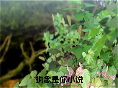 萧云行池月颜小说最新试读_执念是你小说名是（萧云行池月颜）_笔趣阁