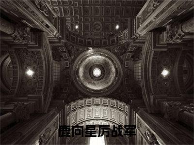 鹿向星厉战军（鹿向星厉战军txt）全文免费阅读无弹窗大结局_鹿向星厉战军最新章节列表_笔趣阁（鹿向星厉战军txt）