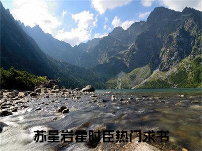 《苏星岩霍时臣》小说好看吗-苏星岩霍时臣最后结局如何《苏星岩霍时臣》在线赏析全文