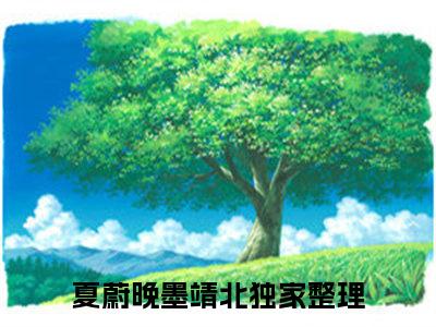 夏蔚晚墨靖北（夏蔚晚墨靖北）全文免费阅读无弹窗大结局_夏蔚晚墨靖北热门小说最新章节阅读