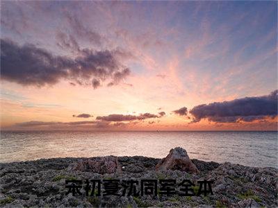 宋初夏沈同军全文免费阅读无弹窗大结局_宋初夏沈同军全文免费无弹窗最新章节列表_笔趣阁