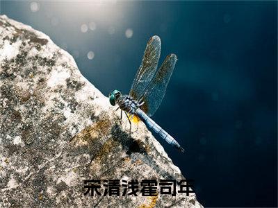 宋清浅霍司年(宋清浅霍司年)全文免费阅读无弹窗大结局_(宋清浅霍司年)宋清浅霍司年小说在线阅读无删减