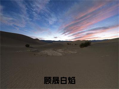 顾晟白焰（顾晟白焰）小说全文完结版免费阅读