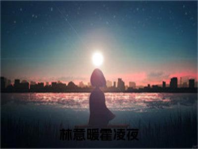 林意暖霍凌夜精选小说-林意暖霍凌夜全章节(林意暖霍凌夜)完整小说