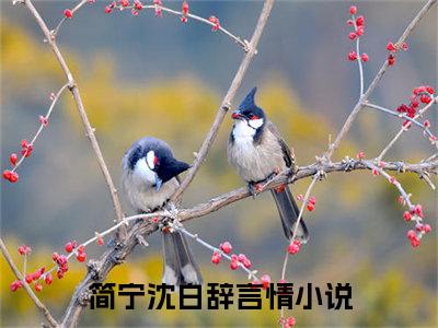 简宁沈白辞（简宁沈白辞）全文在线阅读无弹窗大结局_（简宁沈白辞全文在线阅读无弹窗）简宁沈白辞最新章节列表_笔趣阁（简宁沈白辞）