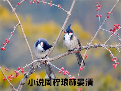 周柠琅林晏清全文免费阅读无弹窗大结局_(周柠琅林晏清)免费阅读全文无弹窗_